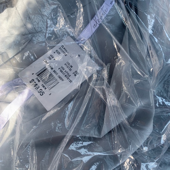 BRAND NEW David’s Bridal Long Dress - Picture 4 of 4